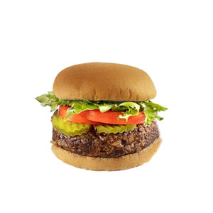 Spicy Bean Burger